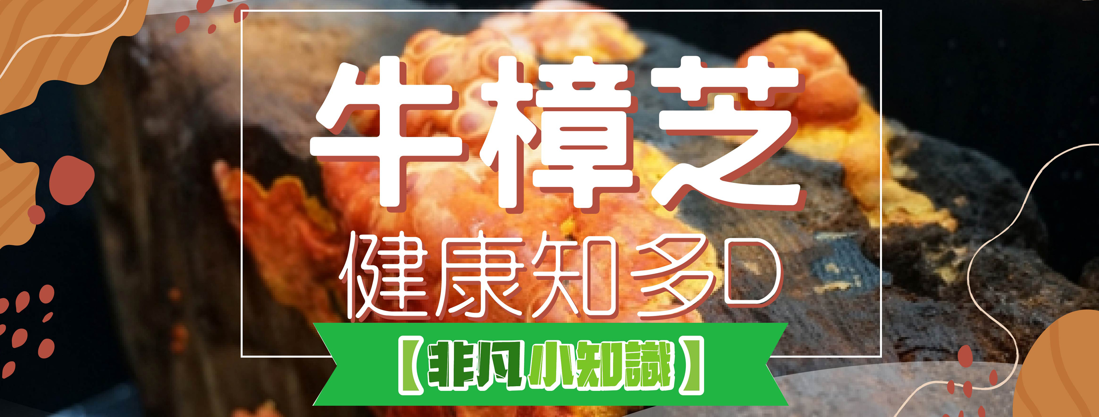 【非凡小知識】健康知多D~「牛樟芝」是什麼?